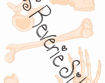 Glossy Human Bone Anatomy Stickers - Skeletal System Decals for Educational or Decorative Use