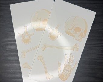 解剖学ステッカー、光沢のある桃色の骨のイラストが4インチ×7インチのシートに印刷されています