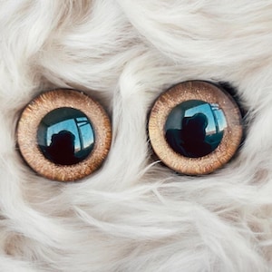Ojos de seguridad marrones: pintados a mano para muñecos de peluche amigurumi de ganchillo con certificación EN71.
