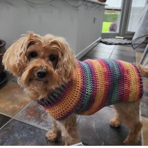 Petit pull épais chaud au crochet pour chien