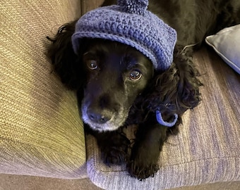 May include: A black dog wearing a blue crocheted hat with a pom-pom on top. The dog is sitting on a couch.