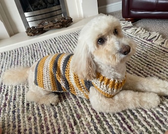 Puede incluir: Un perro pequeño y blanco que lleva un suéter tejido a crochet con rayas amarillas y grises. El perro está acostado en una alfombra rayada.