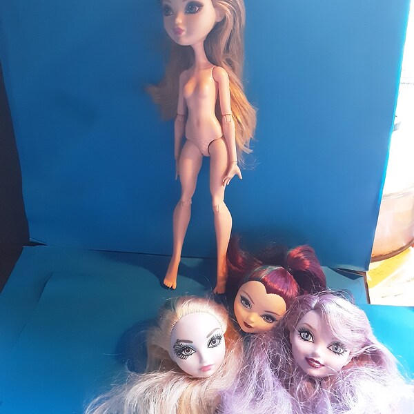 Monster high and other doll heads for ooak