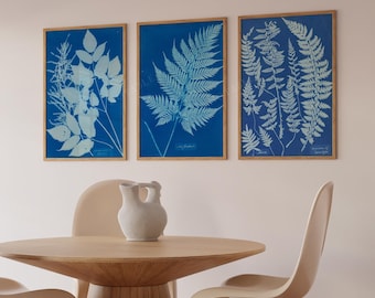 Ensemble de 3 oeuvres d'art murales botaniques en bleu, impression cyanotype Anna Atkins, fougères, expédié du Royaume-Uni/États-Unis/Europe/Australie, encadré ou non