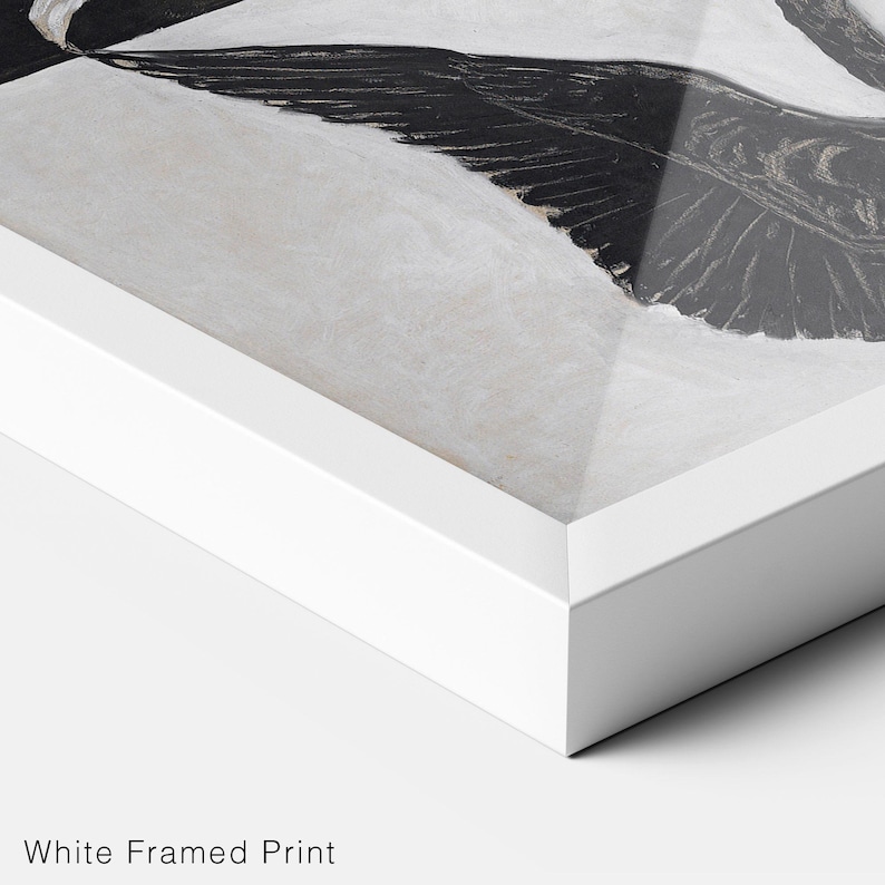 May include: A white framed print of a black and white bird with its wings spread out. The bird is flying against a white background.