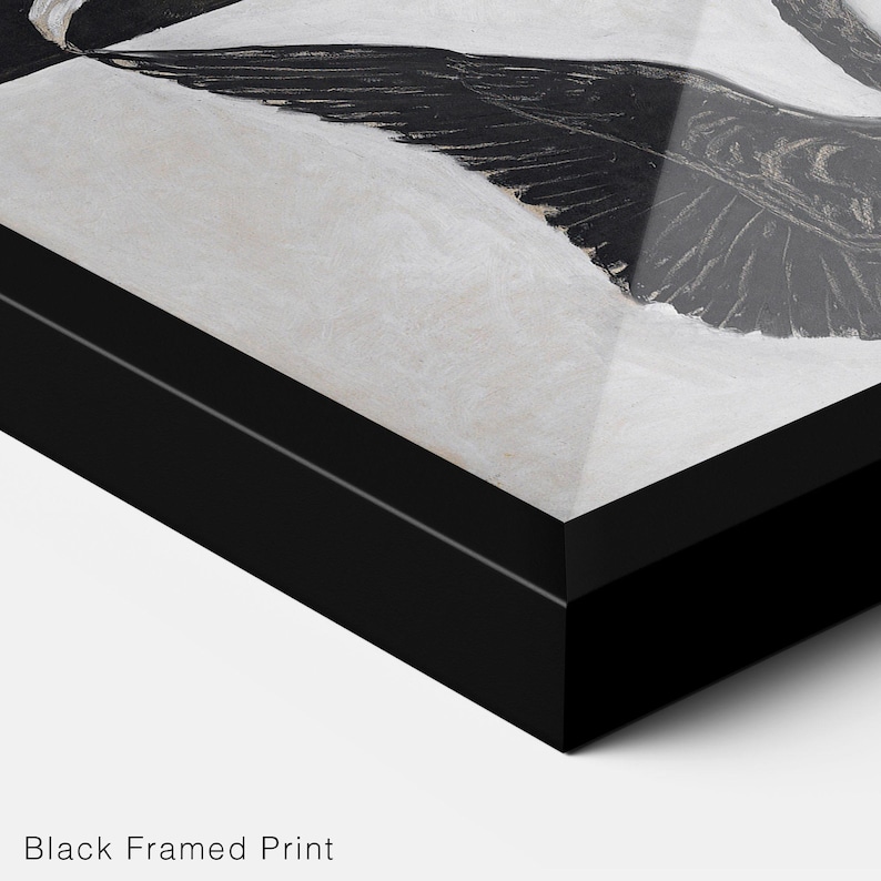 May include: Black and white framed print of a bird with its wings spread wide. The bird is in flight and the background is a light gray.