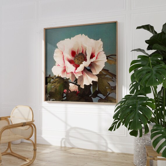 Japanese Floral Wall Art Tree Peony Square Wall Art Etsy