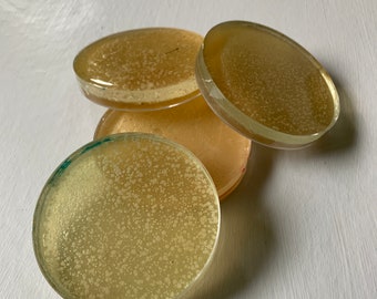 Handmade Resin Petri Dish Coasters - Set of 4