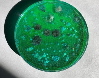 Handmade Resin Petri Dish Coaster