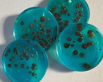 Handmade Resin Petri Dish Coasters - Set of 4