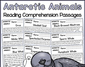 Antarctic Animals Reading Comprehension Passages and Questions | Science Printable Worksheets