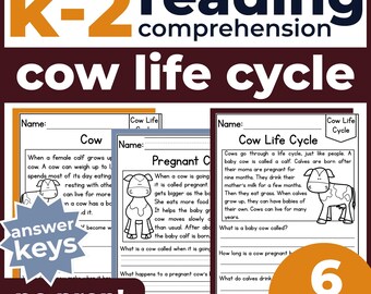 Práctica de lectura para K-2 (1.º y 2.º grado) / Fragmentos y preguntas sobre el ciclo de vida de la vaca / Educación en casa, aula, imprimible sin preparación, fluidez, animales de granja