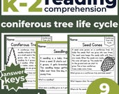 K-2 Reading Practice 1st 2nd Grade | Coniferous Tree Life Cycle Passages & Questions | Homeschool, Classroom, No-Prep Printable,  Fluency