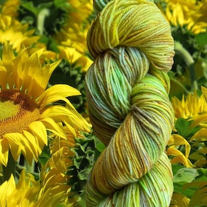 Hand dyed yarn | sunflower fields | sock weight yarn | superwash merino wool