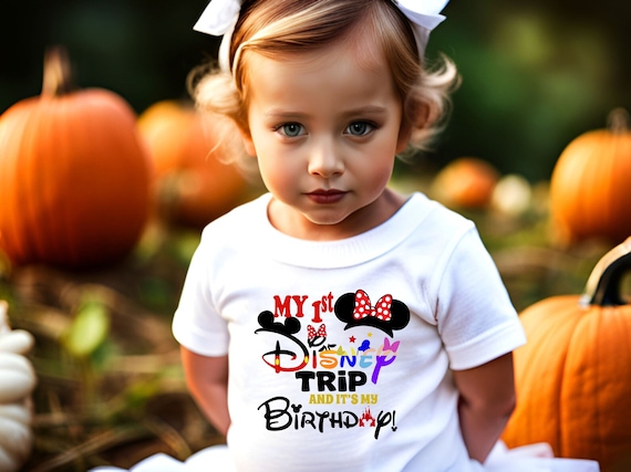 Disney Trip and It's my Birthday shirt, Disney birthday Shirt, Birthday Shirt, Minnie mouse birthday tee, Disney kids Shirt,Disney adult tee