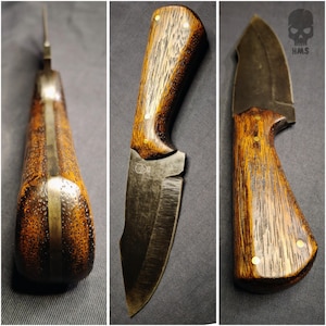 Coltello Drop Point