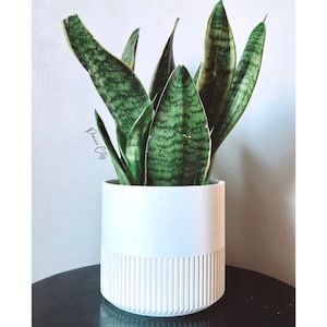 Earth Element Minimalist Planter, nachhaltiges Pflanzgefäß bis 25cm