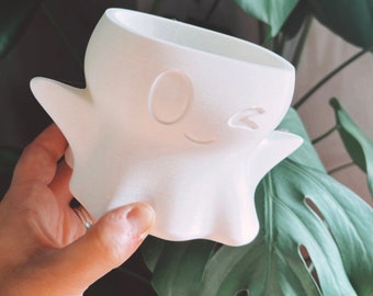 The Boo (Ghost) Plant Pot