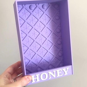 Personalized Reptile Feeder | Lizard Feeder | Insect feeder box,  bug feeder for reptiles