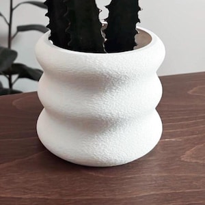 May include: White ceramic planter with a wavy, textured surface. The planter is filled with a succulent plant.