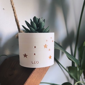 Zodiac Planter: 3D Printed Succulent Pot with Copper Detail