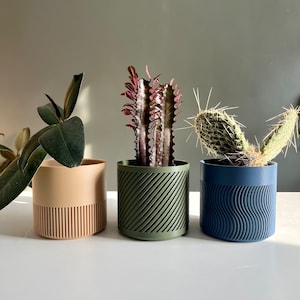 May include: Three different coloured plant pots with various plants. The pot on the left is beige with vertical lines, the middle pot is green with diagonal lines, and the pot on the right is blue with wavy lines.