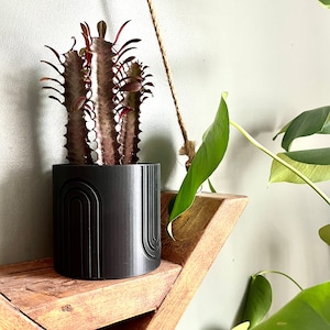 May include: A black planter with a geometric design holds a red and green cactus plant. The planter is sitting on a wooden shelf.