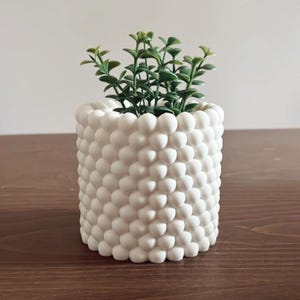 Puede incluir: Maceta de cerámica blanca con una superficie texturizada que se asemeja a pequeñas protuberancias redondas. Una pequeña planta verde está creciendo dentro de la maceta.