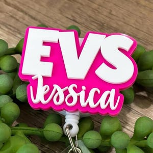 Environmental Services Badge Reel, EVS ID Holder, Environmental Services Gifts