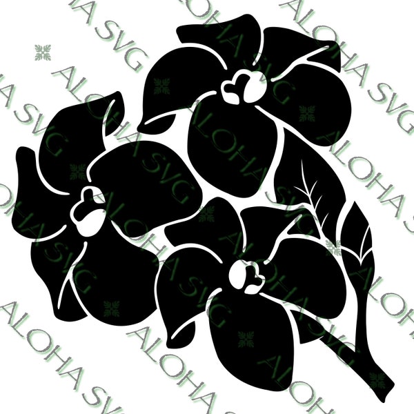 NEW! Puakenikeni Flower SVG/PNG