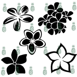Set van 5 Plumeria-bloem SVG