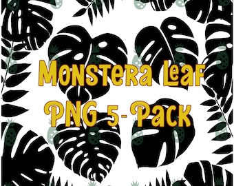 Monstera Blatt PNG 5er Pack
