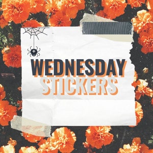 200 Piece Taylor Swift Stickers , Party Favors , Water Bottle, Decor, Music  – Tacos Y Mas