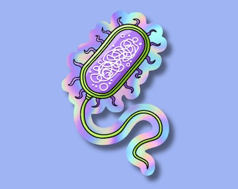 Holographic Bacteria Sticker - Ideal Microbiology Gift for Medical Students & Lab Techs - STEM Nerdy Geeky Science Stickers