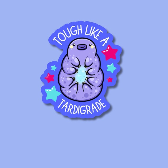 Cute water bear sticker. Tardigrade microbiology vinyl decal. Nerdy stickers for scientists, teachers and lab technicians. Science presents.