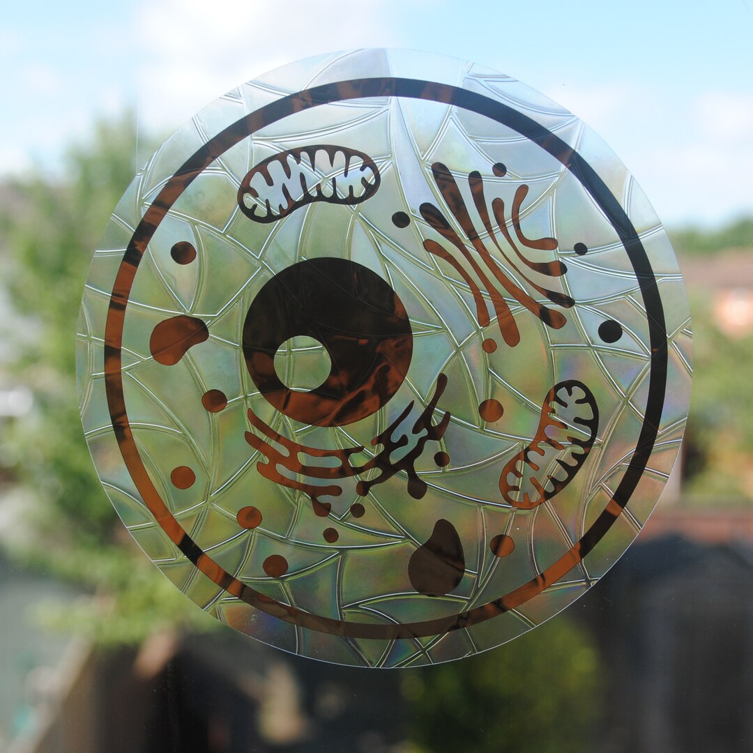 Science Suncatcher Sticker I Cell Window Cling I Science Etsy