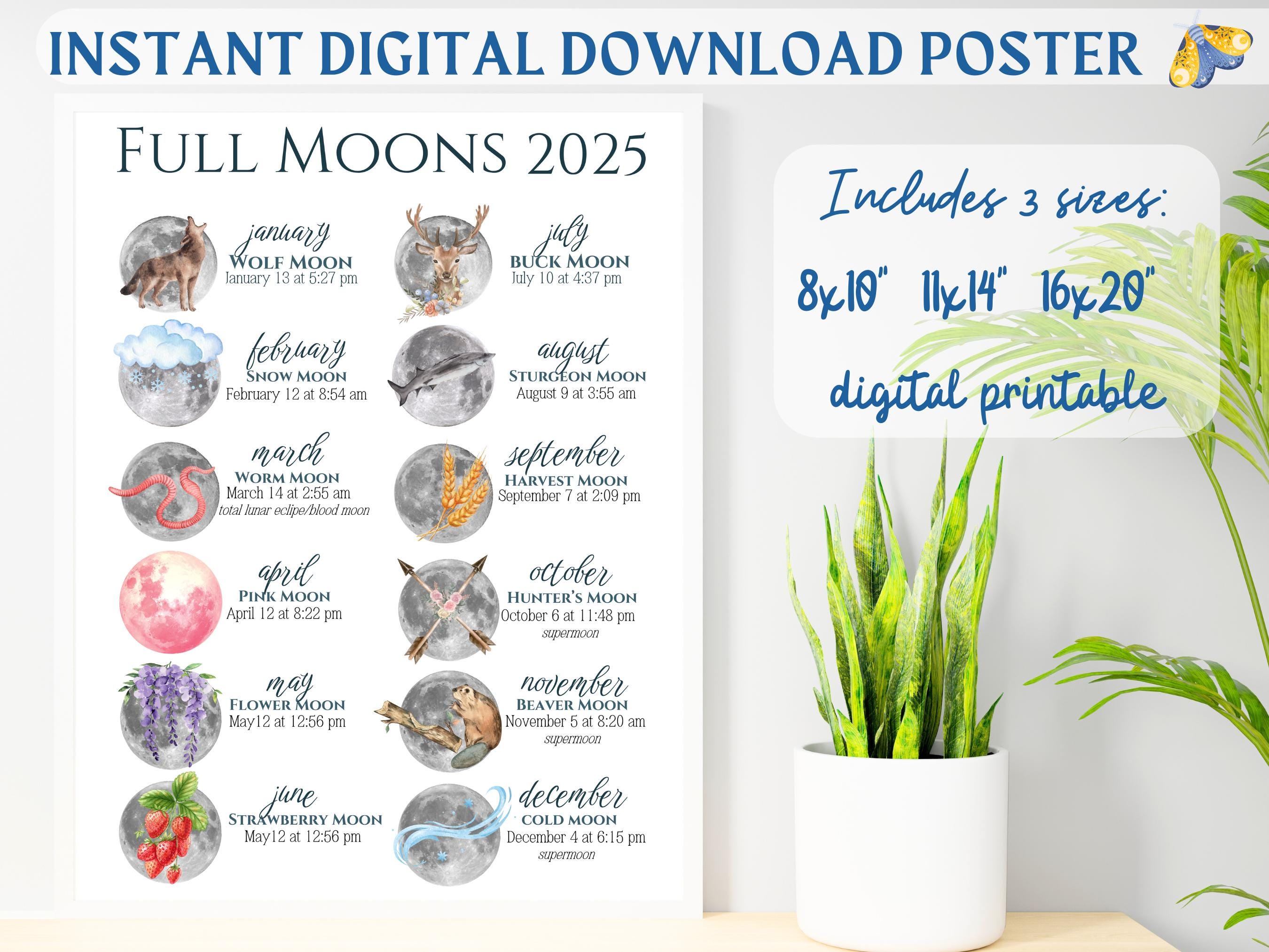 2025 Full Moon Calendar | Lunar Phases Digital Download