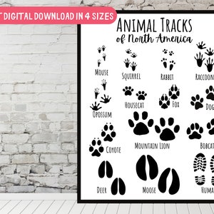 4 SIZES-Animal Tracks North America Identification-Educational Classroom Poster-Nature Decor-Homeschool Scouts Cabin-Airbnb Print Chart