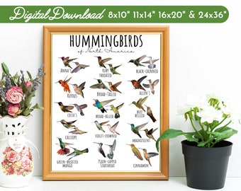 Peut inclure: Un tableau imprimable présentant des illustrations de 14 espèces différentes de colibris que l'on trouve en Amérique du Nord. Chaque colibri est étiqueté avec son nom commun. Le tableau est encadré dans un cadre en bois brun et est prêt à être imprimé et affiché dans votre maison ou votre bureau.
