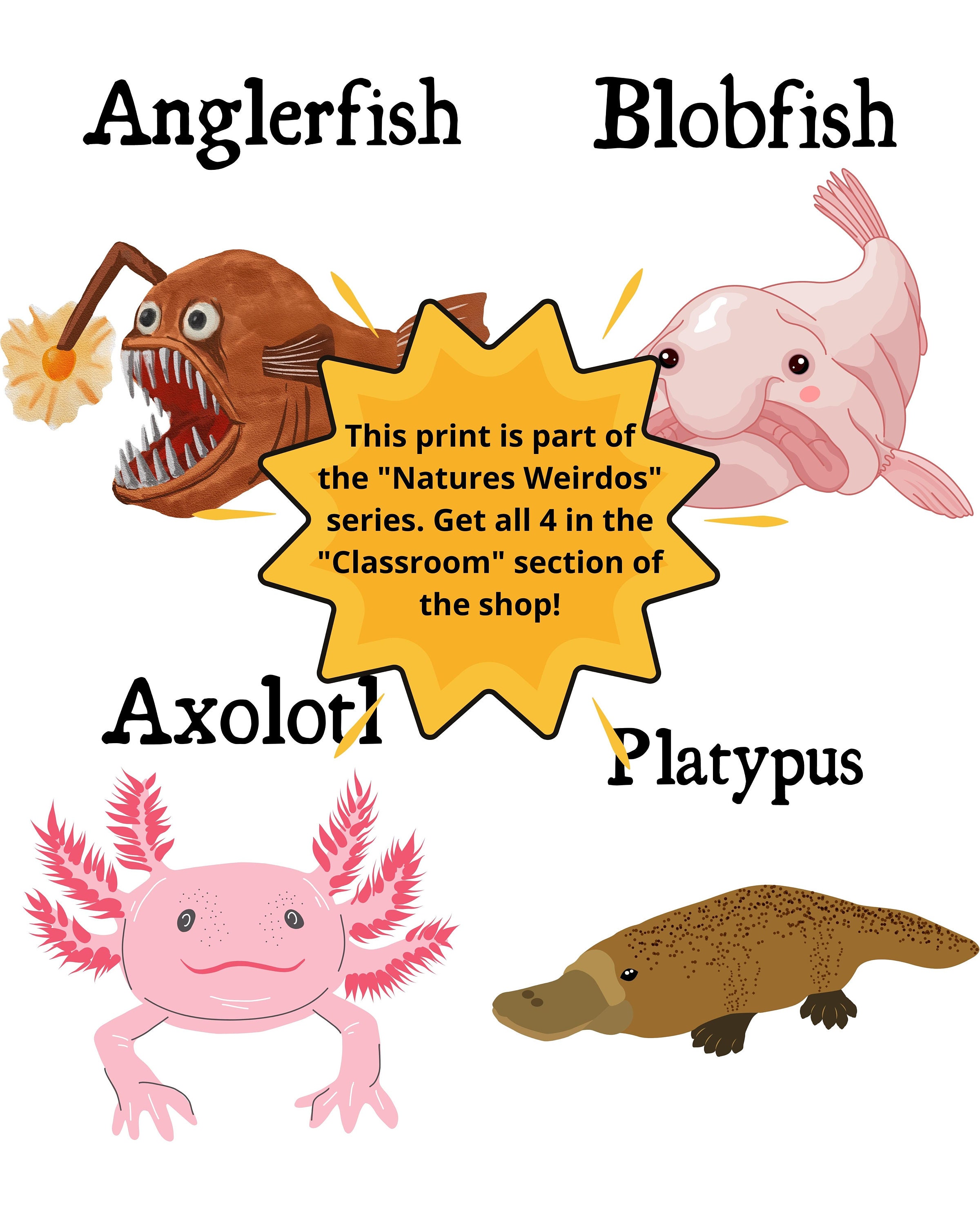 3 SIZES Blobfish Facts Print-educational Classroom 