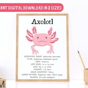 3 SIZES - Axolotl Facts Print-Educational Classroom Poster-Nature Wall Decor-Salamander-Aquatic Species Chart-Science STEM Digital Print