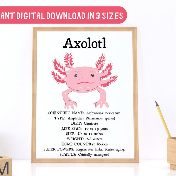 3 SIZES - Axolotl Facts Print-Educational Classroom Poster-Nature Wall Decor-Salamander-Aquatic Species Chart-Science STEM Digital Print