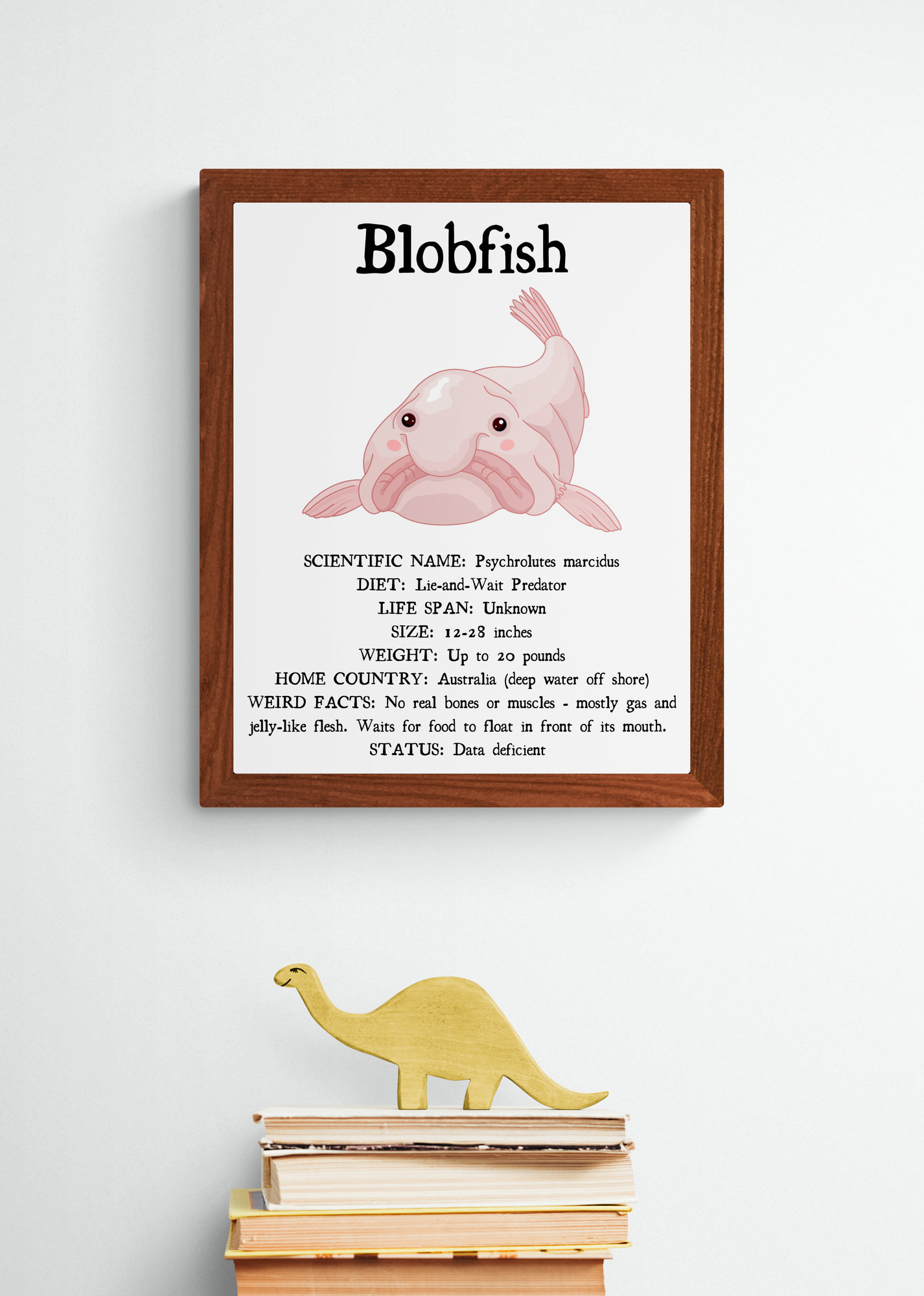 3 SIZES Blobfish Facts Print-educational Classroom 