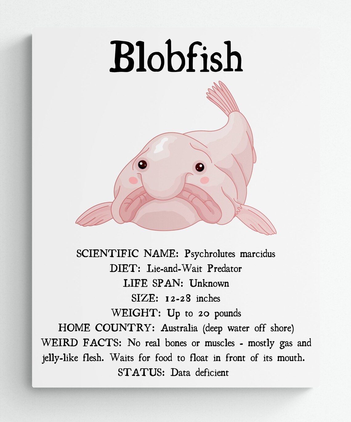 3 SIZES- Blobfish Facts Print-educational Classroom Poster-nature Wall ...