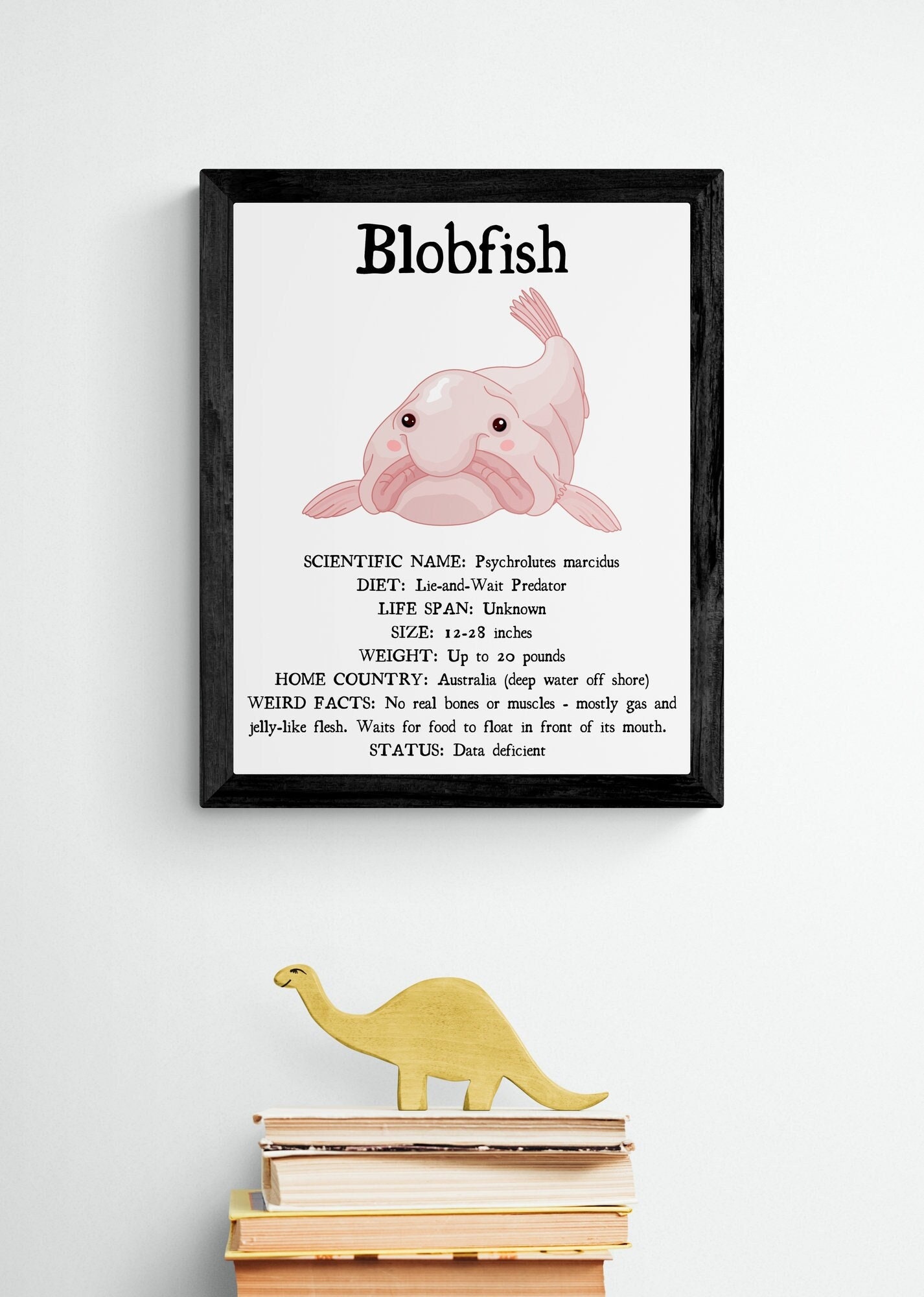 3 SIZES Blobfish Facts Print-educational Classroom Poster-nature Wall  Decor-deep Ocean Creatures-fish Species-illustrated-cute Funny Weird -   Canada