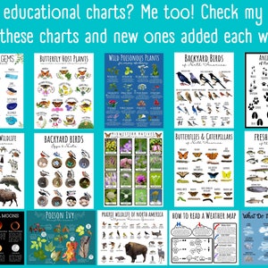 Puede incluir: Un collage de 12 tablas educativas con diversos temas, incluyendo gemas naturales, plantas hospedadoras de mariposas, plantas venenosas silvestres, aves de jard&iacute;n, huellas de animales, vida silvestre en peligro de extinci&oacute;n, nativos del medio oeste, mariposas y orugas, peces de agua dulce, las lunas llenas m&aacute;s raras, hiedra venenosa, vida silvestre de las praderas de Am&eacute;rica del Norte, c&oacute;mo leer un mapa del tiempo y qu&eacute; significan las nubes. Las tablas est&aacute;n ilustradas con dibujos coloridos y texto.