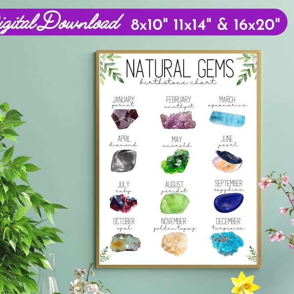 Birthstone Chart Natural State Gems Print-Crystals Stones Rocks-Educational Poster-Printable ID-Geology-Science Class Decor-Horoscope Birth