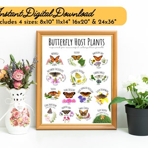 Butterfly Host Plants Print-Caterpillars-Native Prairie Pollinators-Spring-ID Chart-Nature-Science-Milkweed-Poster-Garden-STEM Educational