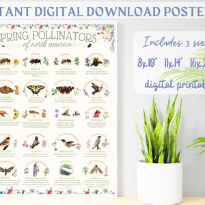 Spring Pollinators North America Print | Bee Moth Butterfly Beetle Chart | Digital Download Educational Guide Decor | Spring Garden Poster