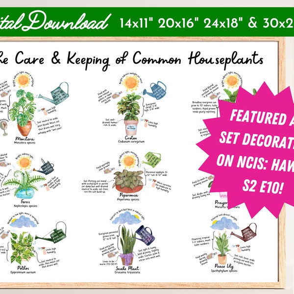 Illustrated Care Guide for Common Houseplants-Indoor Plant Care-Identification Chart-Gardening Print-Educational Poster-Types Species Sign